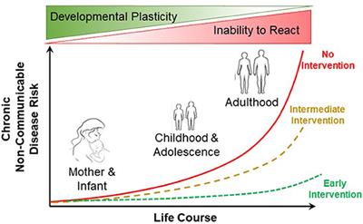 Developmental Physiology: Grand Challenges